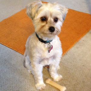 Meet your Posher, Family